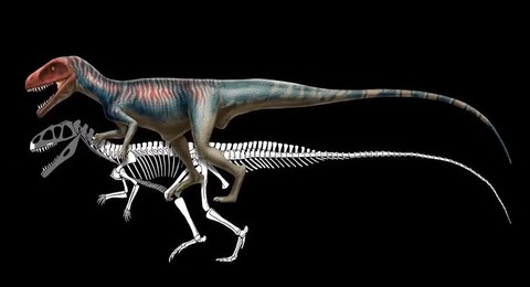 迷你世界的迅猛龙吃什么