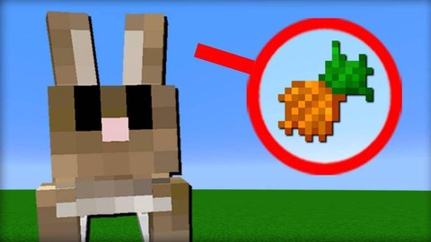 我的世界兔子怎么抓