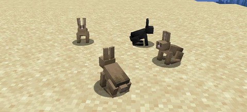 我的世界兔子怎么抓[图1]