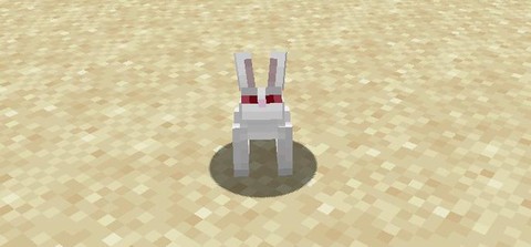 我的世界兔子怎么抓[图2]