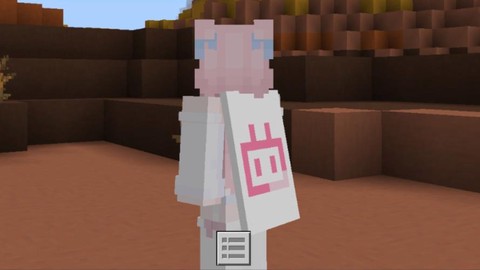 我的世界披风怎么装[图2]