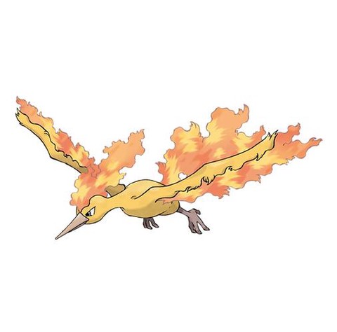 口袋妖怪火焰鸟怎么抓[图1]